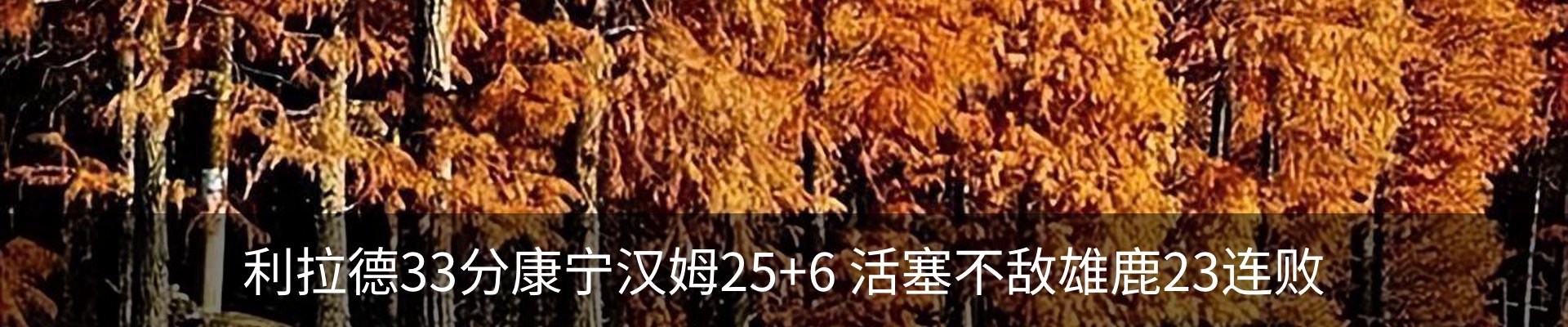 资讯动态
